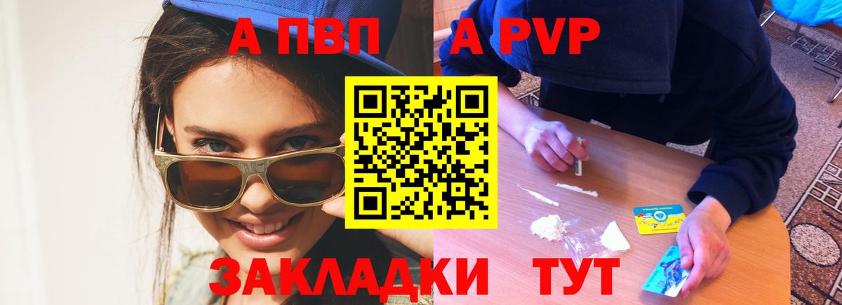 Альфа ПВП СК Шали