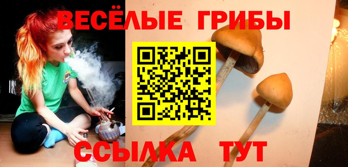 Псилоцибиновые грибы Psilocybine cubensis  Псилоцибиновые грибы прущие грибы  Вход с VPN  Шали 
