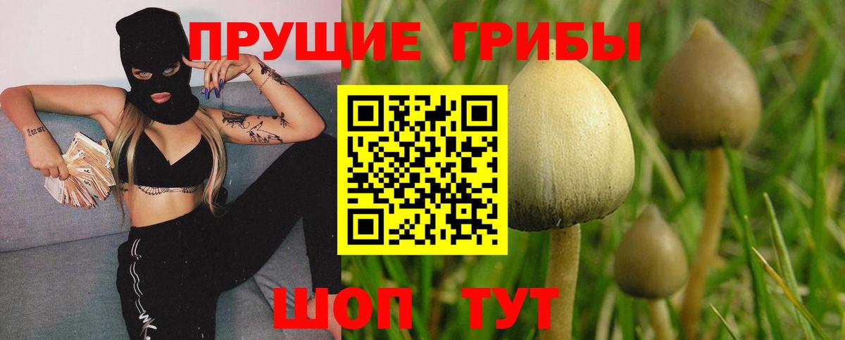 Псилоцибиновые грибы Magic Shrooms Шали